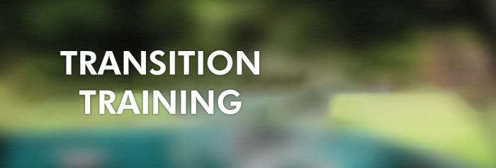 Hamony in transition