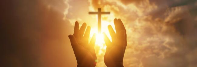 Laity Discenment 2026